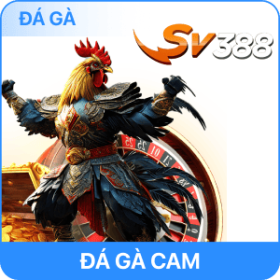 Sảnh Đá Gà RR88